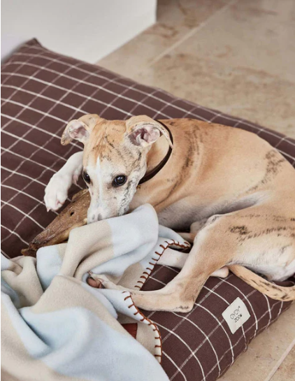 OYOY Living Design Kyoto dog cushion